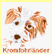 Auswahl: Die Rasse der Kromfohrlaender.