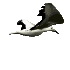 Gif-Bild Voegel