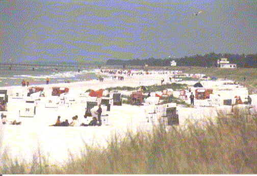  Bild vom Strand bei Ribnitz
