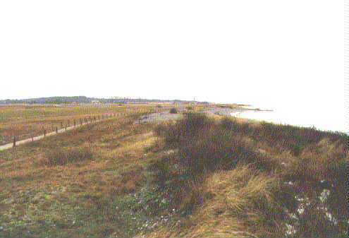 3. Bild Behrensdorf