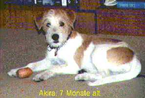 ak_7mon.jpg:Akira 7 Monate alt