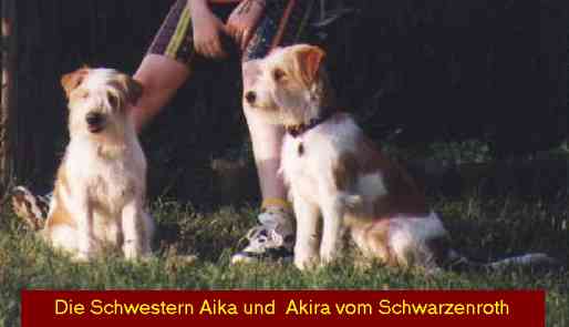 Aika und Akira vom Schwarzenroth