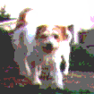 jana_1.gif:Bild von Jana
