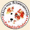 kopf_1.gif:Bild von Akira