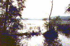 Der Laacher See