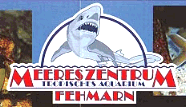 Bild des Meereszentrum Fehmarn