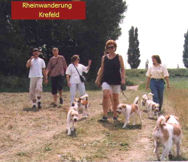 Bild der Rheinwanderung