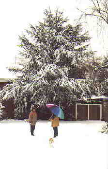 Das Muensterland im Schnee
