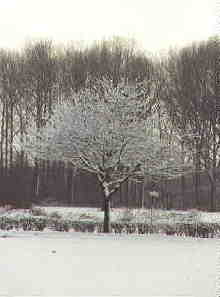 Das Muensterland im Schnee