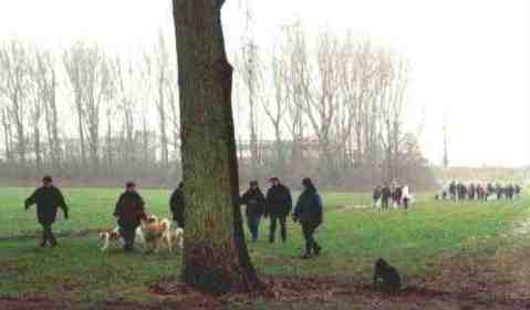 Gaeste der Silvester-Rheinwanderung
